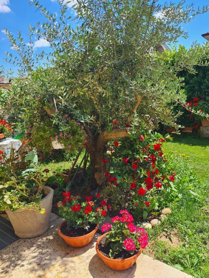 Appartamento Casa Andrè Pescantina Esterno foto